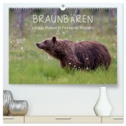 Cover-Bild zum Titel 'Braunbären - pelzige Riesen in Finnlands Wäldern (hochwertiger Premium Wandkalender 2026 DIN A2 quer), Kunstdruck in Hochglanz' von '(C) Sandra Eigenheer'