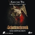 Cover-Bild zum Titel 'Schattenchronik' von 'Karo van Thu'