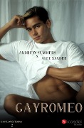 Cover-Bild zum Titel 'Gay Romeo' von 'Andrew Summers, Alec Xander'