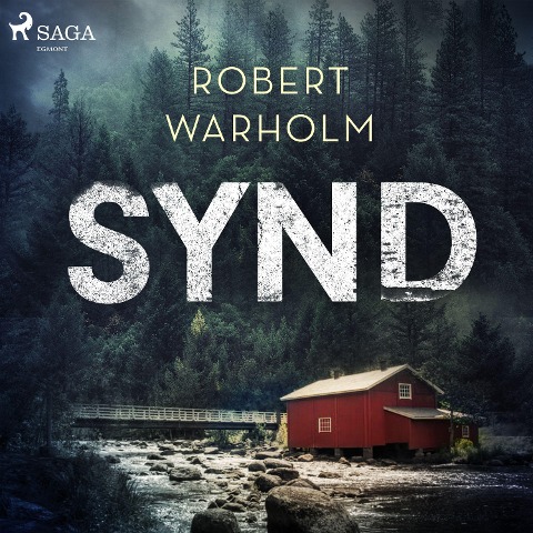 Synd - Robert Warholm