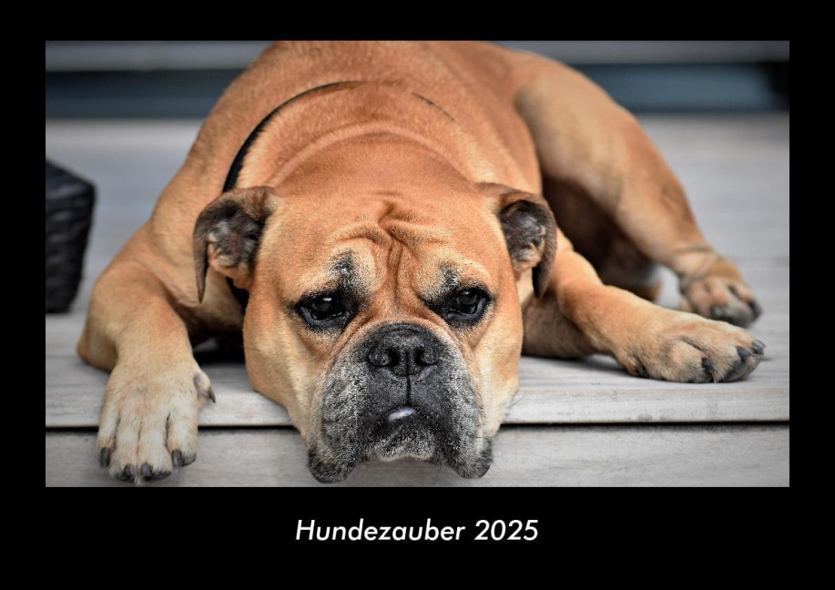 Hundezauber 2025 Fotokalender DIN A3 - Tobias Becker