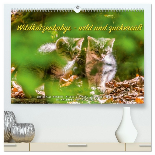 Wildkatzenbabys - wild und zuckersüß. (hochwertiger Premium Wandkalender 2026 DIN A2 quer), Kunstdruck in Hochglanz - Ingo Gerlach