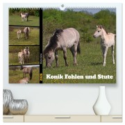Cover-Bild zum Titel 'Mutterliebe - Konik Fohlen und Stute (hochwertiger Premium Wandkalender 2026 DIN A2 quer), Kunstdruck in Hochglanz' von 'Babett Paul - Babetts Bildergalerie'