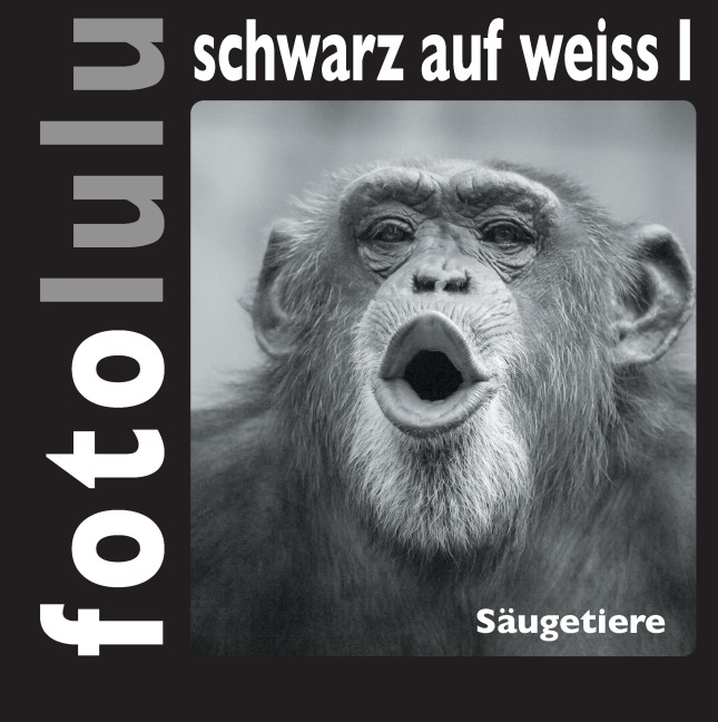 fotolulu schwarz auf weiss I - Fotolulu