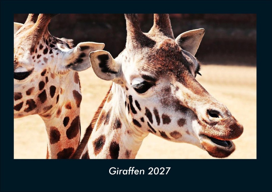 Giraffen 2027 Fotokalender DIN A4 - Tobias Schmitt, Kevin Heber