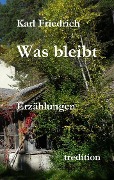 Cover-Bild zum Titel 'Was bleibt' von 'Magnus Karl Friedrich Schleich'