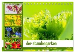 Cover-Bild zum Titel 'der staudengarten zu bad hersfeld (Tischkalender 2026 DIN A5 quer), CALVENDO Monatskalender' von 'Steffen Sennewald'
