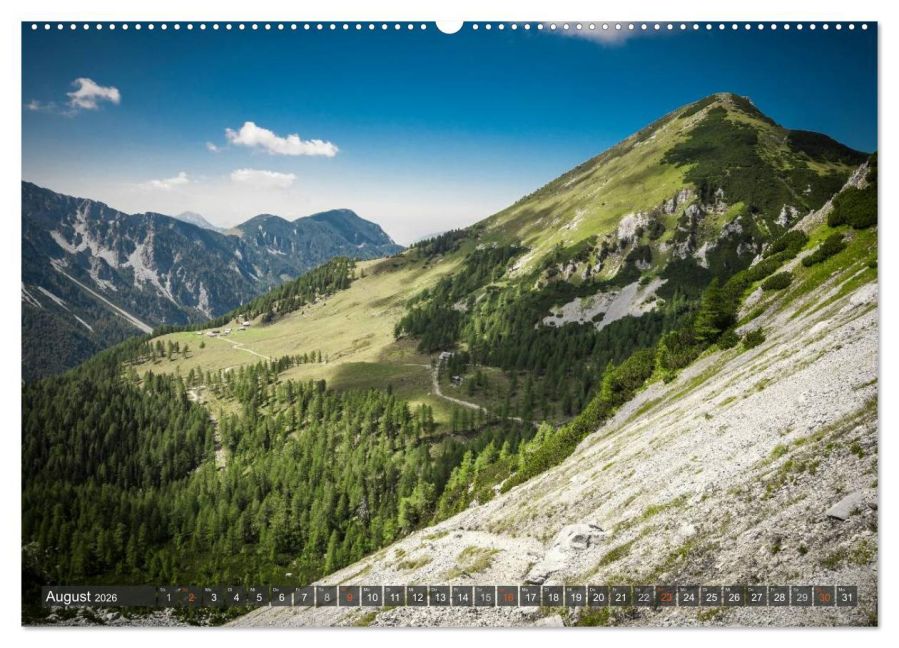 InsideView 13