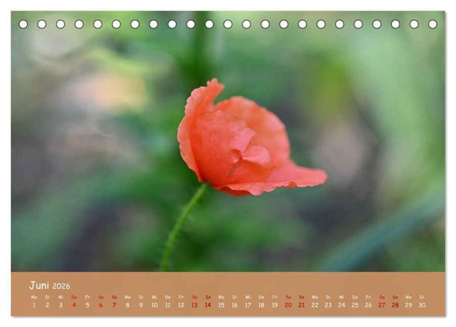 InsideView 11