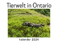 Tierwelt in Ontario (Wandkalender 2024, Kalender DIN A4 quer, Monatskalender im Querformat mit Kalendarium, Das perfekte Geschenk) - Anna Müller