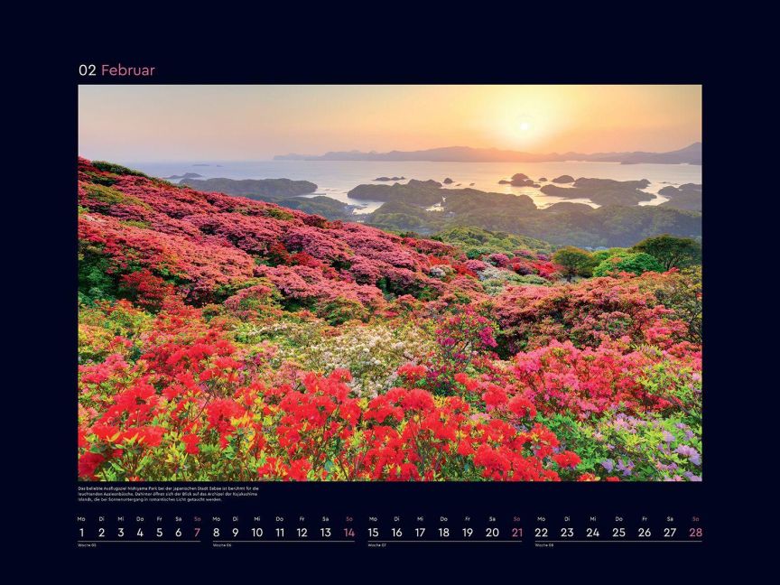InsideView 7
