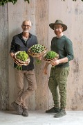 Cover-Bild zum Titel 'GREEN' von 'Klaus Wagener, Winzer Stephan'