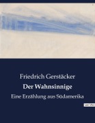 Cover-Bild zum Titel 'Der Wahnsinnige' von 'Friedrich Gerstäcker'