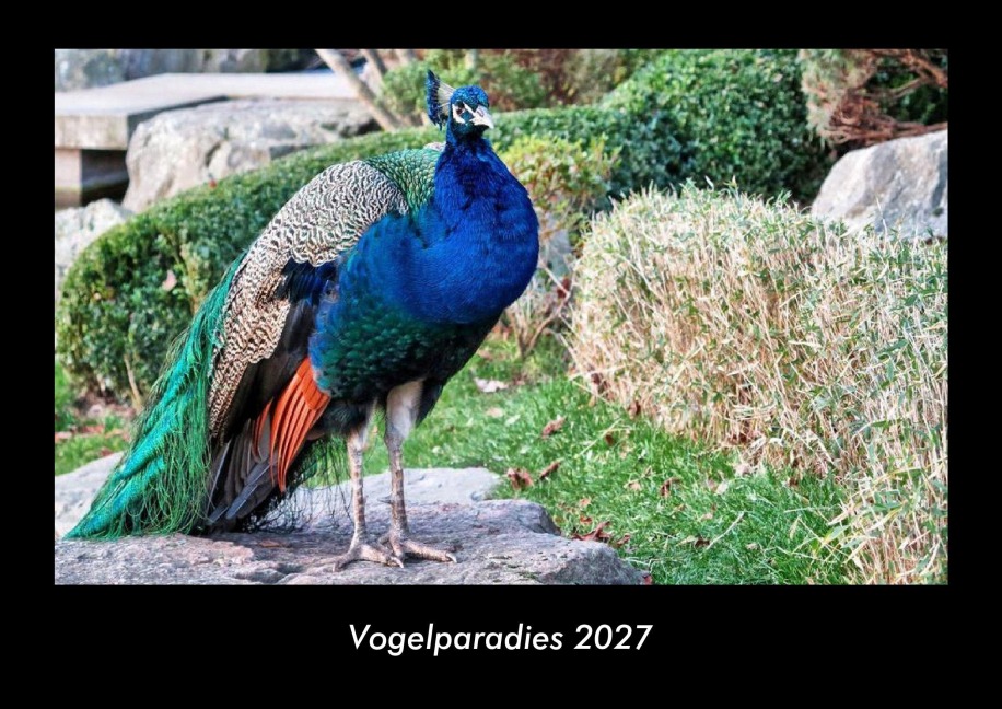 Vogelparadies 2027 Fotokalender DIN A3 - Tobias Becker