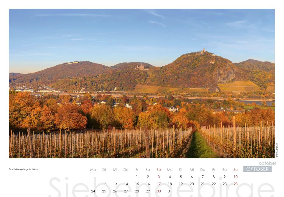 InsideView 10