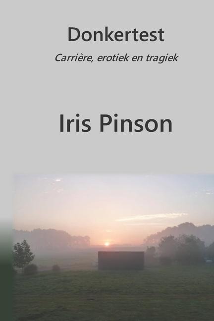 Donkertest: Carrière, erotiek en tragiek - Iris Pinson