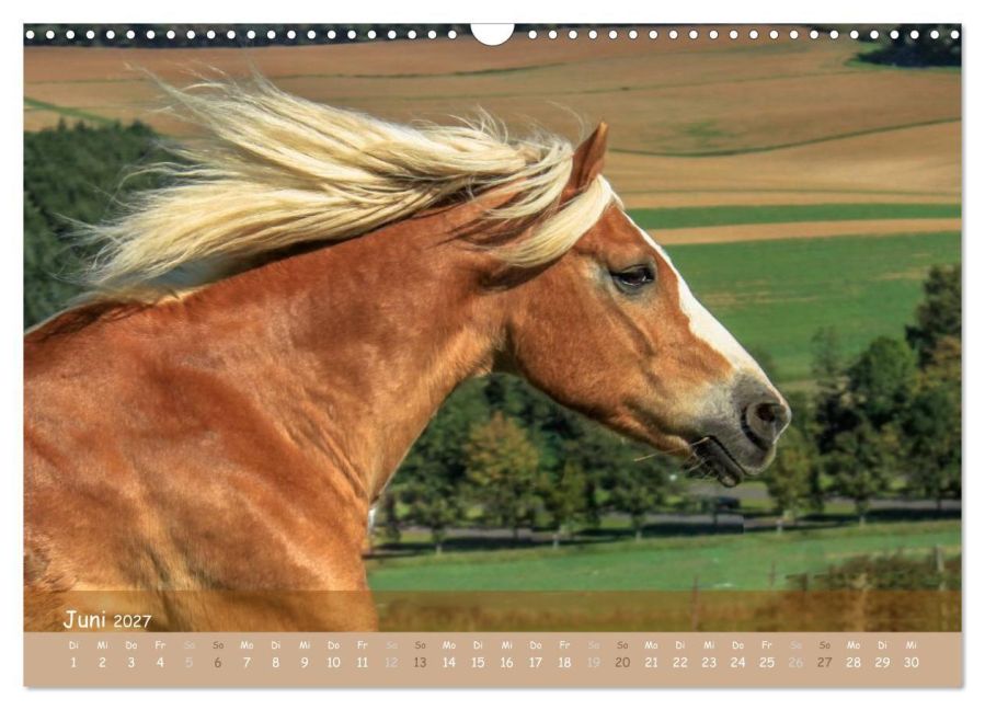 InsideView 11