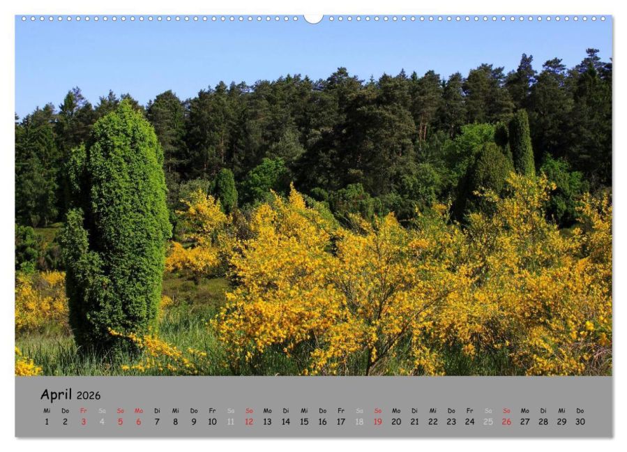 InsideView 9