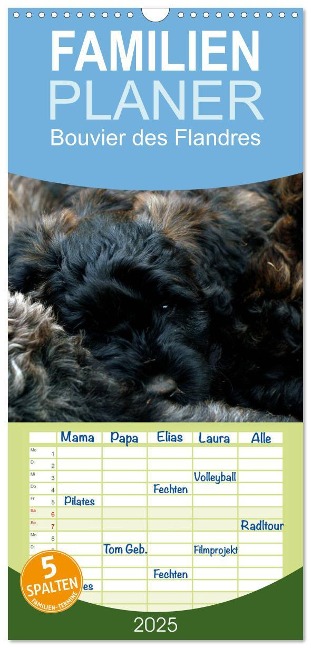 Familienplaner 2025 - Bouvier des Flandres mit 5 Spalten (Wandkalender, 21 x 45 cm) CALVENDO - Susan Milau