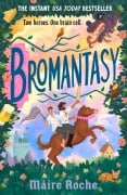 Cover-Bild zum Titel 'Bromantasy' von 'Máire Roche'