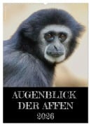 Cover-Bild zum Titel 'Augenblick der Affen 2026 (Wandkalender 2026 DIN A2 hoch), CALVENDO Monatskalender' von 'Hamburg Mirko Weigt'