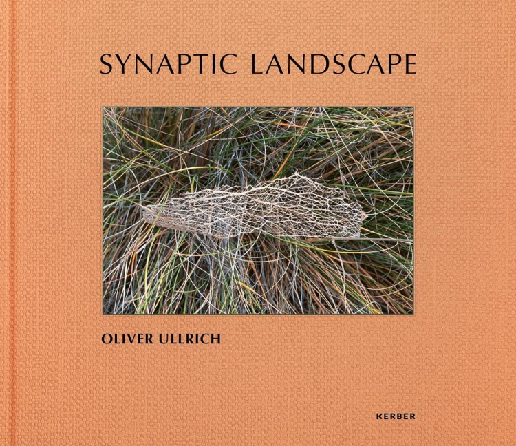 Oliver Ullrich - 