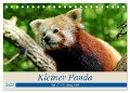 Kleiner Panda auf Entdeckungstour (Tischkalender 2025 DIN A5 quer), CALVENDO Monatskalender - Peter Hebgen