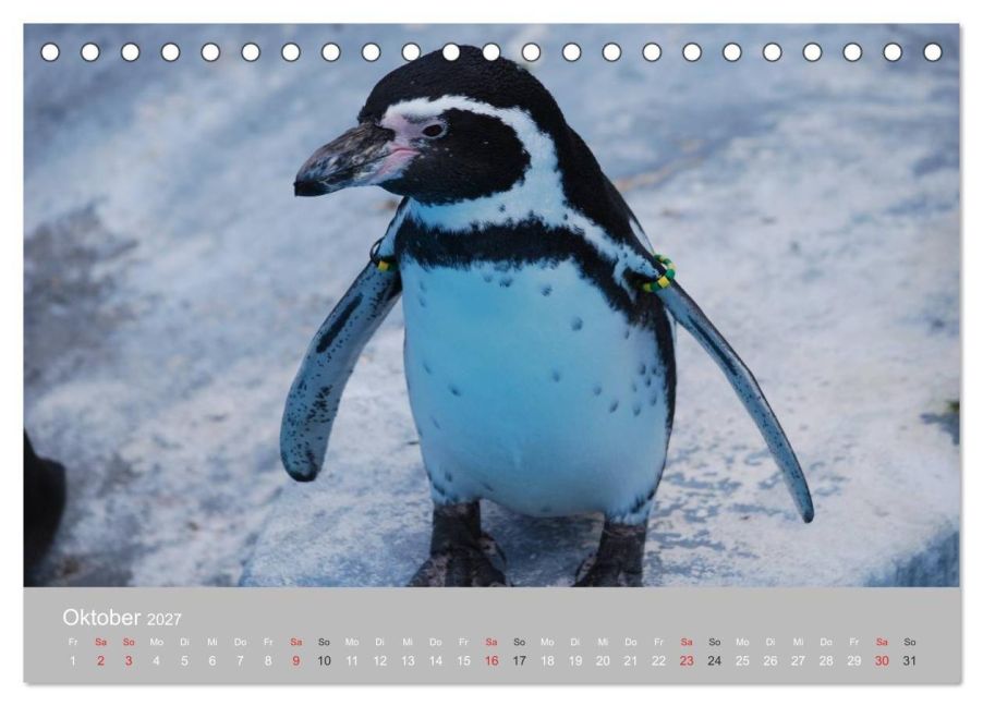 InsideView 2