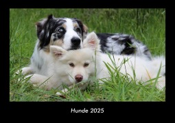 Cover-Bild zum Titel 'Hunde 2025 Fotokalender DIN A3' von 'Tobias Becker'