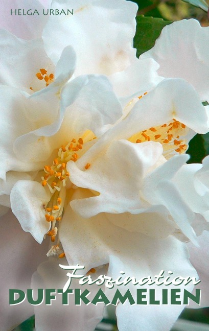 Faszination Duftkamelien - Helga Urban
