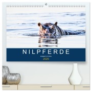 Nilpferde, Kolosse in Afrika (hochwertiger Premium Wandkalender 2025 DIN A2 quer), Kunstdruck in Hochglanz - Robert Styppa