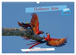 Cover-Bild zum Titel 'Hellrote Aras (Wandkalender 2026 DIN A3 quer), CALVENDO Monatskalender' von 'Armin Brockner'