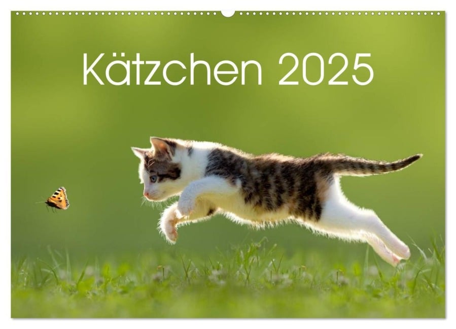 Kätzchen 2025 (Wandkalender 2025 DIN A2 quer), CALVENDO Monatskalender - Leoba Leoba