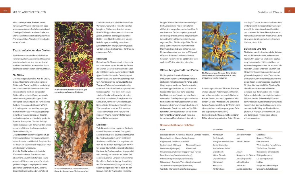InsideView 5