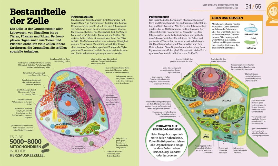 InsideView 4