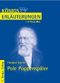Cover-Bild zum Titel 'Storm. Pole Poppenspäler' von 'Theodor Storm'