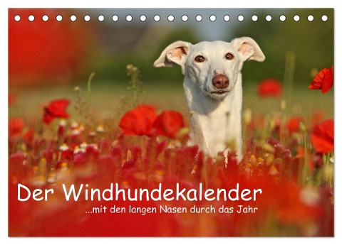 Der Windhundekalender (Tischkalender 2024 DIN A5 quer), CALVENDO Monatskalender - Kathrin Köntopp