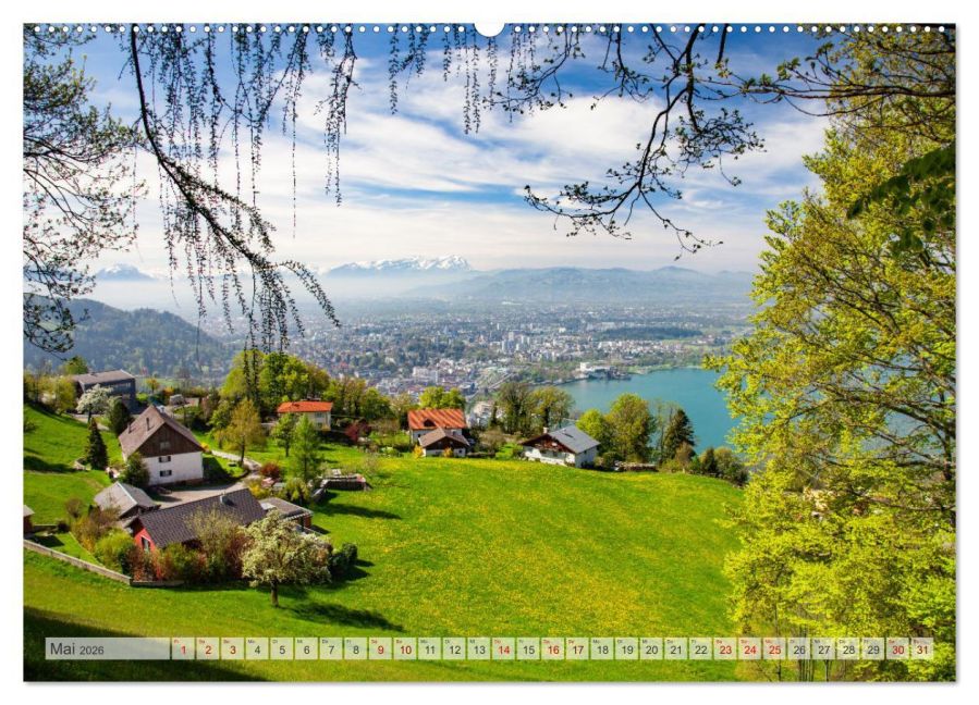 InsideView 9