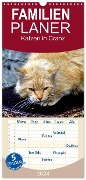Familienplaner 2024 - Katzen in Cranz mit 5 Spalten (Wandkalender, 21 x 45 cm) CALVENDO - Henning von Löwis of Menar