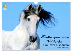 Cover-Bild zum Titel 'Edle spanische Pferde - Pura Raza Espanola (Wandkalender 2026 DIN A4 quer), CALVENDO Monatskalender' von 'Ramona Dünisch Www. Ramona-Duenisch. De'