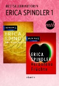 Bestsellerautorin Erica Spindler 1 - Erica Spindler