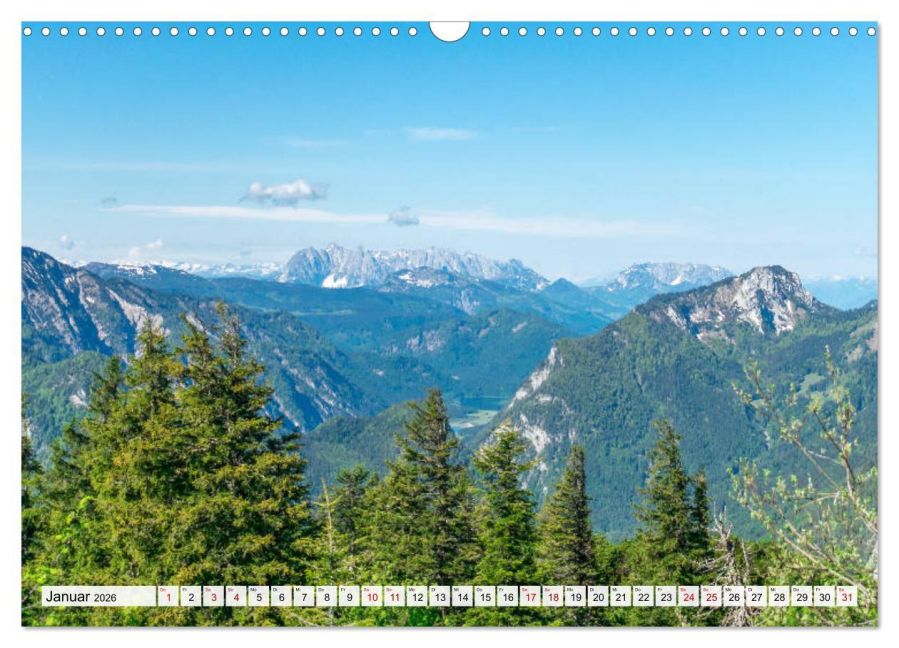 InsideView 6