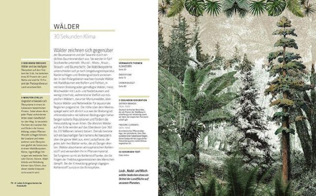 InsideView 2
