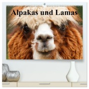 Cover-Bild zum Titel 'Alpakas und Lamas (hochwertiger Premium Wandkalender 2026 DIN A2 quer), Kunstdruck in Hochglanz' von 'Elisabeth Stanzer'