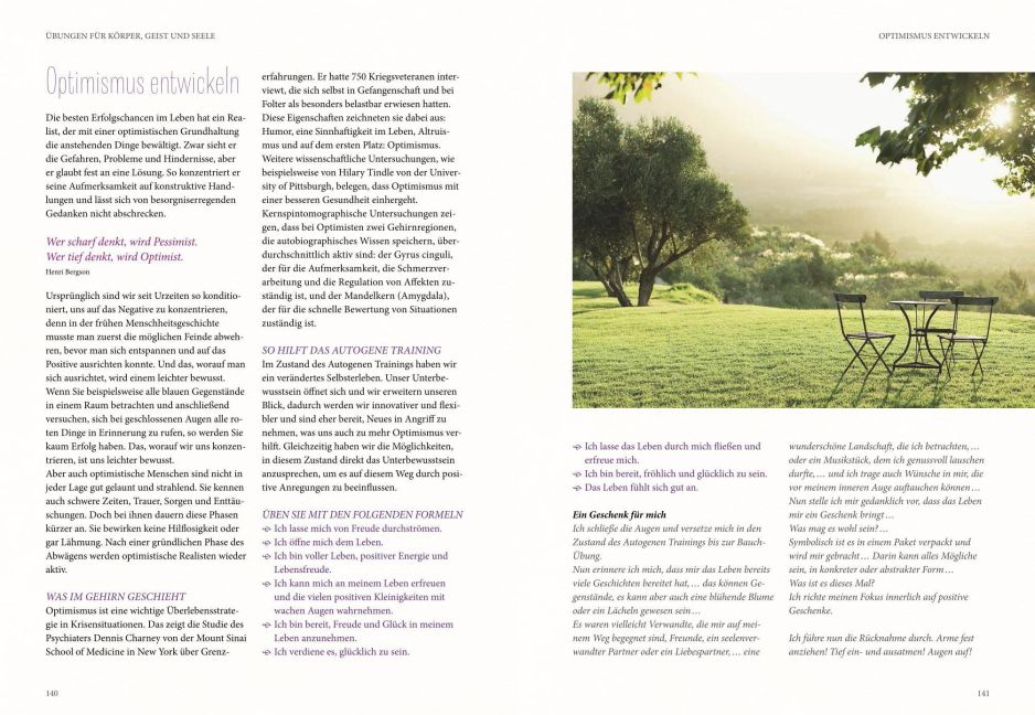 InsideView 6