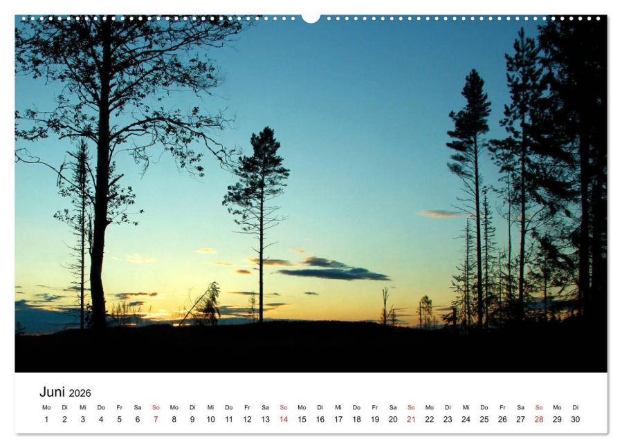 InsideView 11