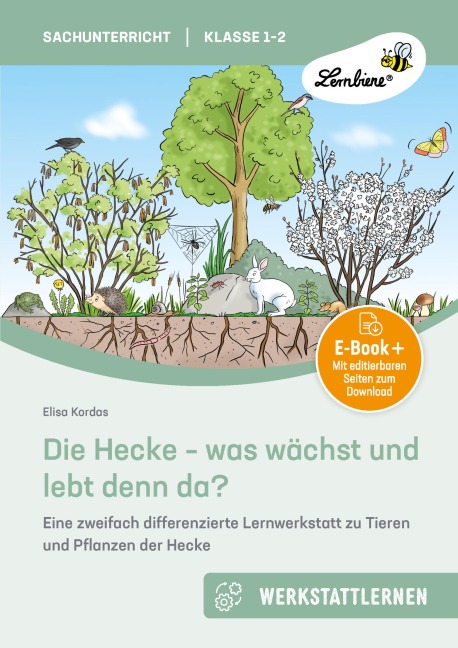 Die Hecke - was wächst und lebt denn da - Elisa Kordas