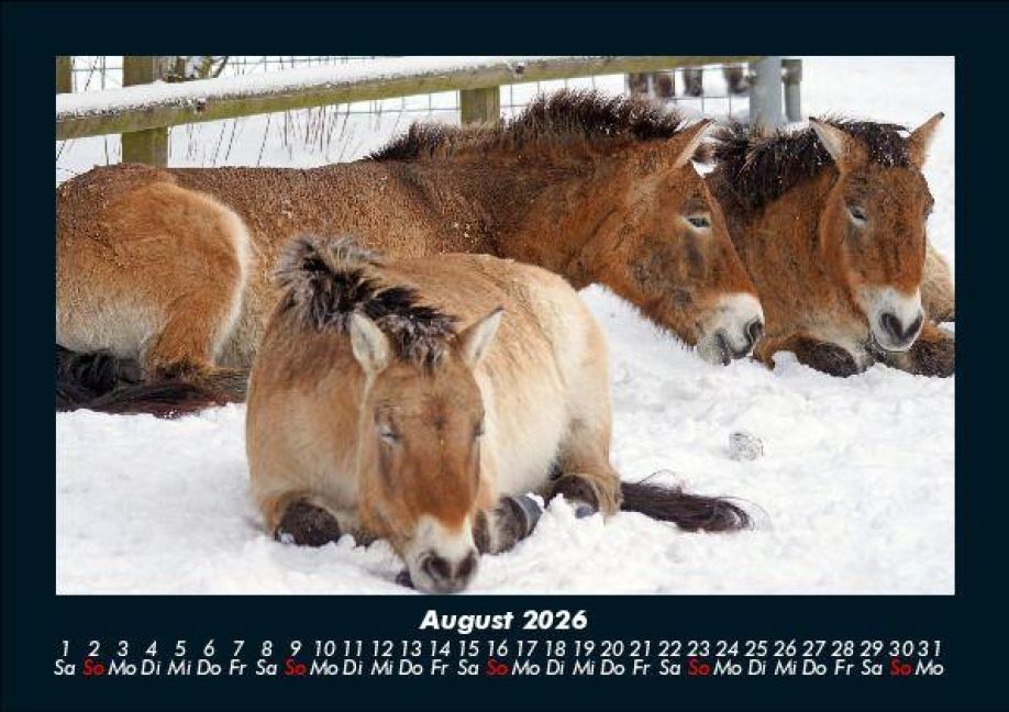 InsideView 12