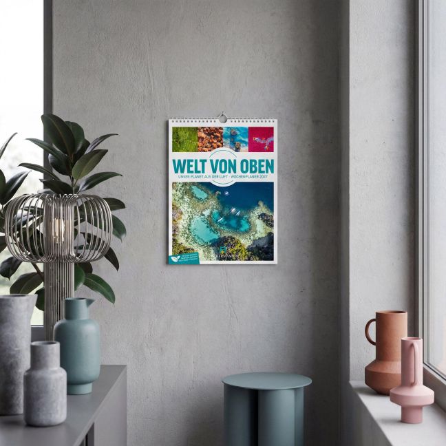 InsideView 58