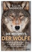 Cover-Bild zum Titel 'Die Weisheit der Wölfe' von 'Elli H. Radinger'